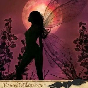 Meet your Posher, Niki